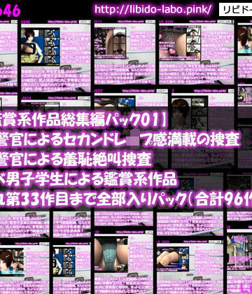 ■【動画鑑賞系作品総集編パック01】男性警官による捜査、女性警官による捜査、スケベ男子学生による鑑賞系作品、それぞれ第33作目まで全部入りパック（合計96作品）【Libido-Labo❤制服】