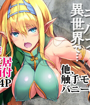 壁にハメられたエルフ、異世界で…色々オリジナル本セット【ARE❤ファンタジー】