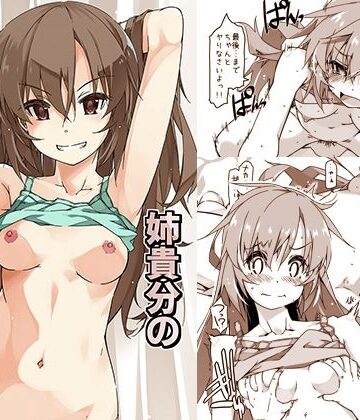 姉貴分のおっぱい成長確認【行脚堂❤幼なじみ】評価3.67