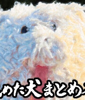 舐めた犬まとめ本【舐めた犬❤ギャグ・コメディ】評価4.86