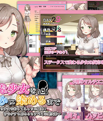 無垢な少女を俺好みに染めるまで〜家なき少女を拾ってえっちに開発！ 甘やかすも虐めるもすべては俺次第〜【まいんマイン❤羞恥】評価3.00