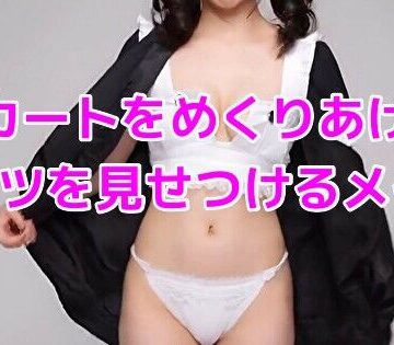 スカートをめくりあげてパンツを見せつけるメイド【ノーマルアブノーマル❤動画・アニメーション】