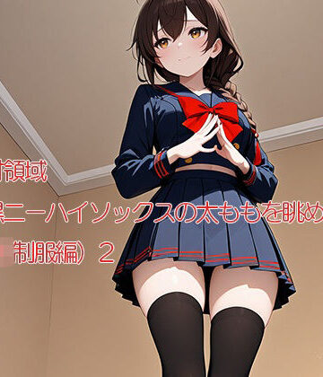 絶対領域〜黒ニーハイソックスの太ももを眺める〜（JK制服編）2縦型【120×75の部屋❤全年齢向け】評価3.00