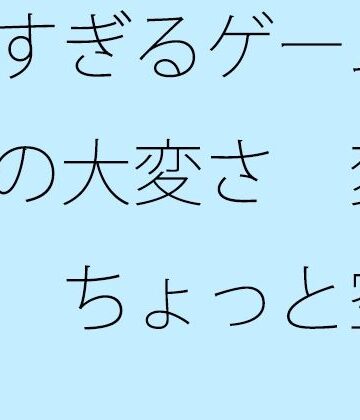 妙すぎるゲーム遊びの大変さ 変な形 ちょっと空から俯瞰して見ると違うのか・・【サマールンルン❤ファンタジー】