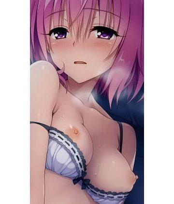 イラスト集【とらっぶる❤巨乳】