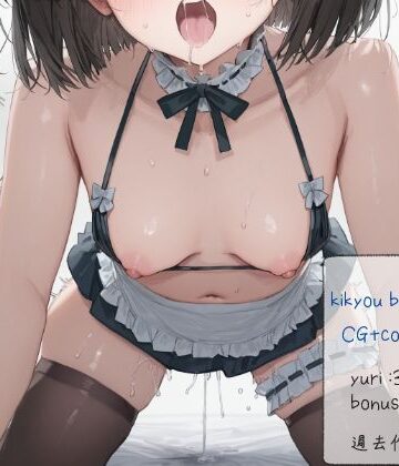 bikini_maid matome【oiui❤イラスト・CG集】