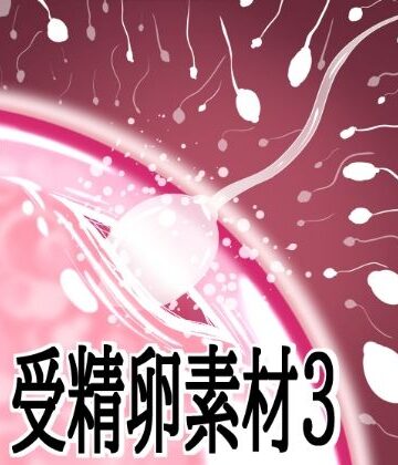 受精卵素材3【水の木❤イラスト・CG集】