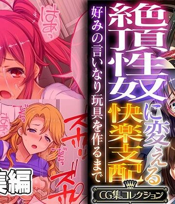 絶頂性奴に変える快楽支配 〜好みの言いなり玩具を作るまで〜【CG集コレクション】【どろっぷす！❤辱め】