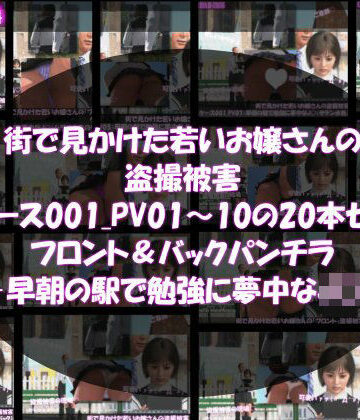 街で見かけた若いお嬢さんの盗撮被害:（ケース001_PV01〜10のフロント・バック両方のパンチラ20本セット:-早朝の駅で勉強に夢中なJ○）【Libido-Labo❤3DCG】